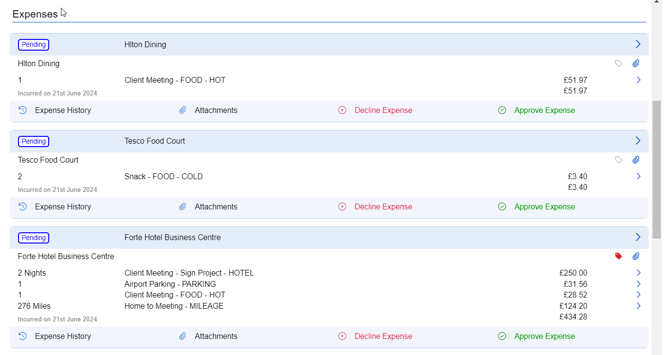 expenses_review_items2
